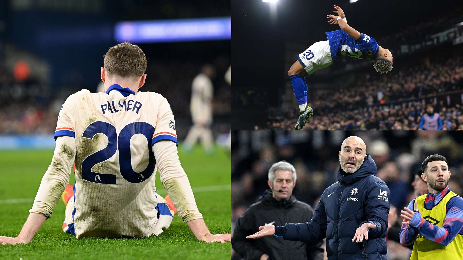 若法律能够 若法律能够